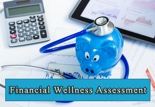 Financial Wellness Assessment